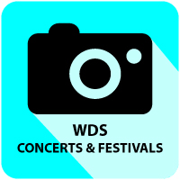 Concerts & Festivals